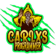 mcpbridge MCP Server Logo