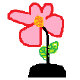 dsh-multi-tenant MCP Server Logo