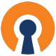 cloudconnexa-mcp-server MCP Server Logo