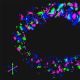 nwb-mcp-server MCP Server Logo