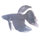 ping MCP Server Logo