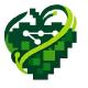 GrapeRoot MCP Server Logo